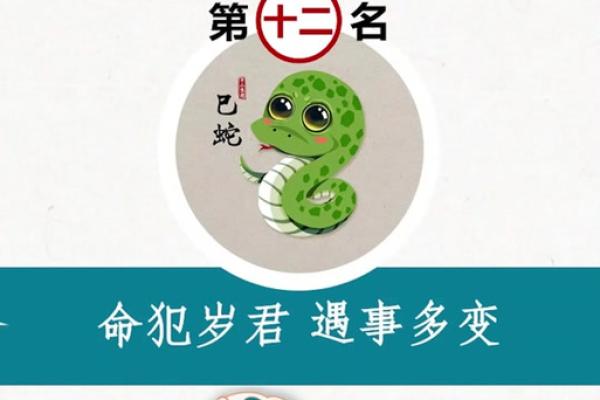 属蛇双子座2024年每月运势(属蛇双子座2024年每月运势如何)