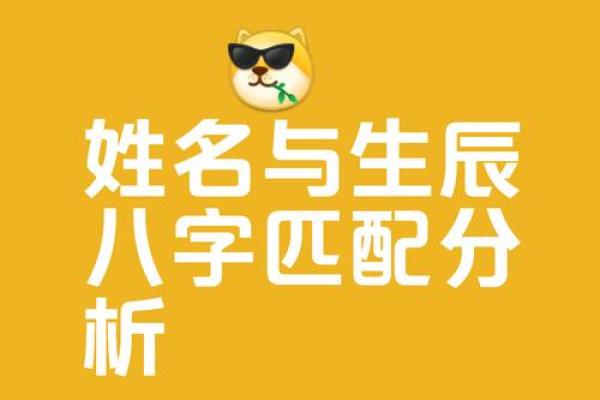 姓名测试网(姓名测试网158)