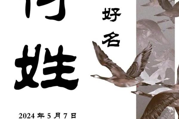 符氏姓名大全(符氏姓名大全女孩)