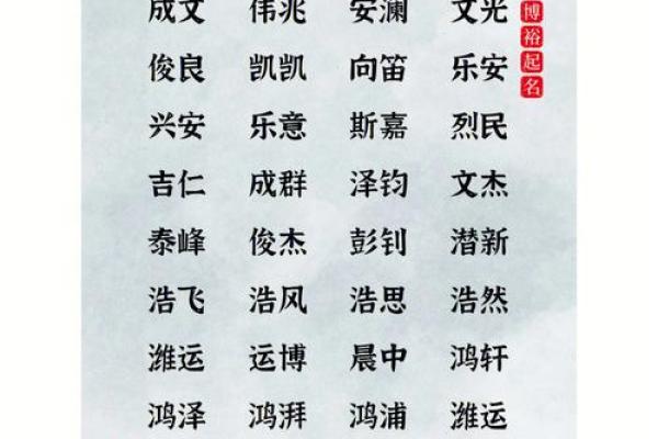 大气响亮的男孩儿名字参考大全(男孩大气有涵养的名字,取名大全男孩霸气)