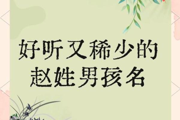 赵的名字男孩最好听的名字(赵男孩子名字大全2020)