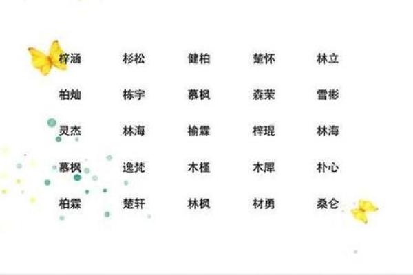 女孩缺木取名大全(女孩缺木取名大全文雅名字暖柔的)