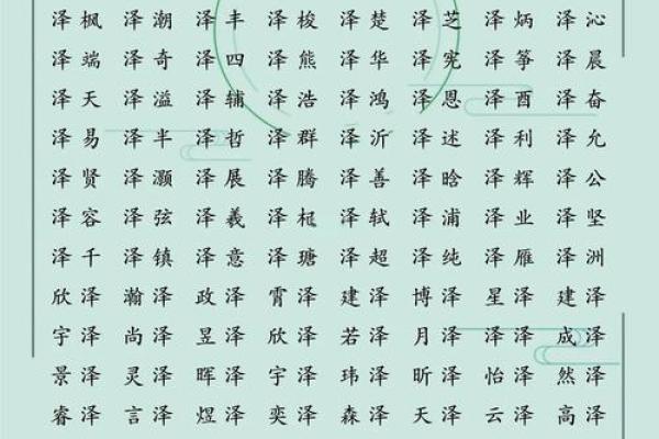 带泽字的公司名称 大气(带泽字有财气的公司名字)