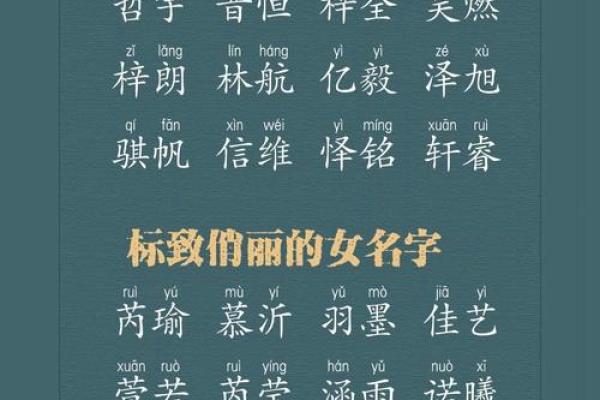 男孩女孩取名字大全2023(男孩女孩取名字大全2023属兔)