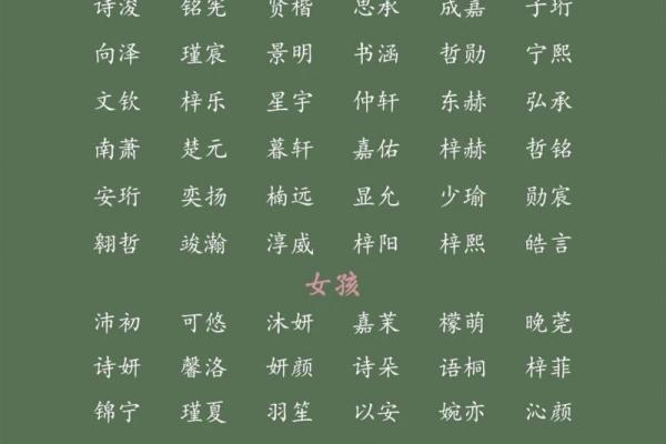 带登字男孩大气有涵养的名字(登字取名字叫什么)