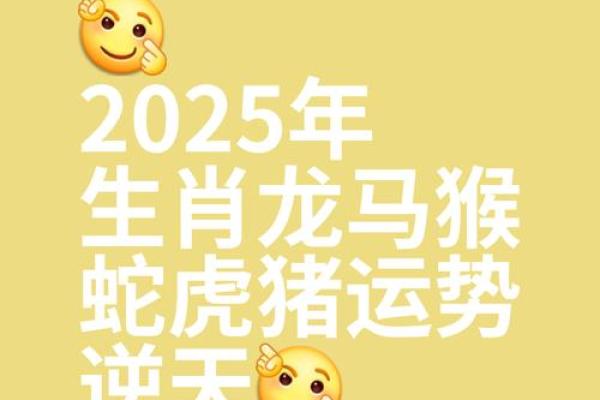 2025年属龙理发黄道吉日(属龙人今天能理发吗)
