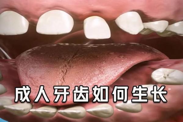 中年女人梦见生个男孩(中年女人梦见生个男孩还长有牙齿的东西) 中年女人梦见生个男孩(中年女人梦见生个男孩还长有牙齿的东西)