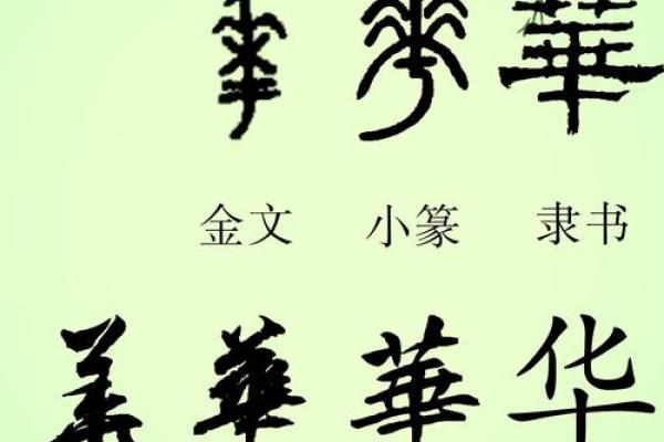 公司名字华字开头什么好听(公司起名华开头大气)