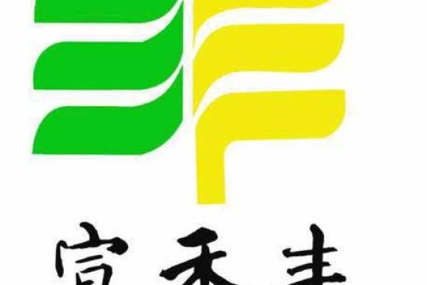 公司起名带丰字的(带丰的公司名字大全3个字)