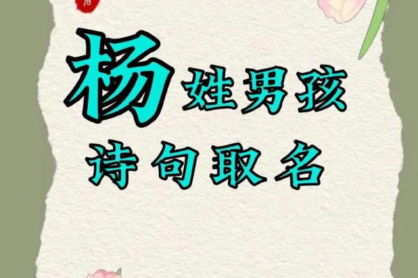 杨姓100分的男孩名字大全(杨姓男孩名字2021年名字大全)