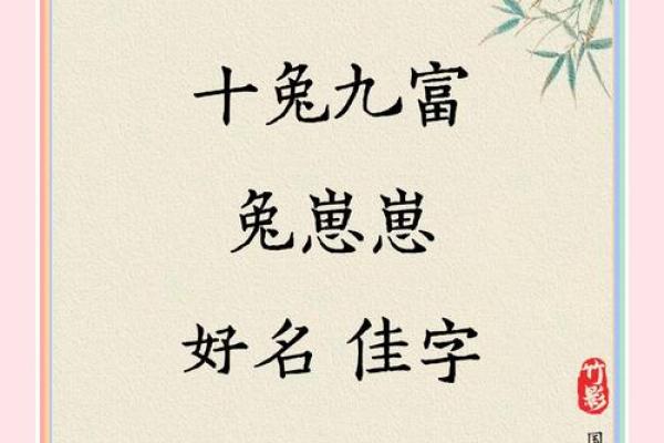 属兔女孩起名吉利的名字(属兔女孩取名字最吉利的字)