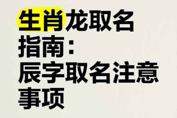 辰字名字大全男孩(辰字最搭的男孩名字)