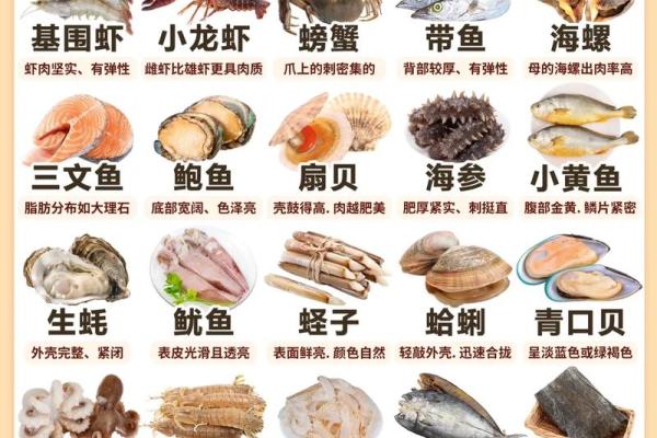 海鲜食品公司取名字大全(海鲜有限公司如何取名) 海鲜食品公司取名字大全(海鲜有限公司如何取名)