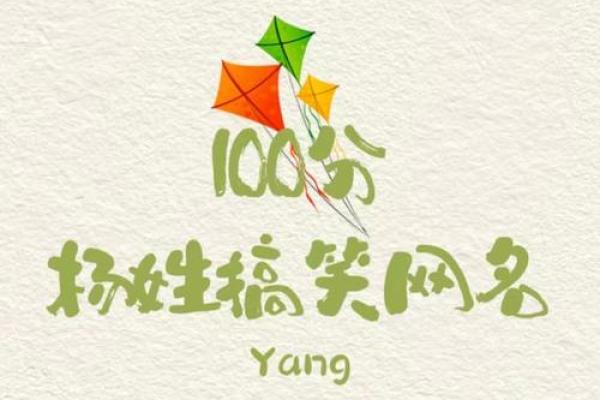 杨姓两字名字大全男孩(杨姓两字女孩名字)