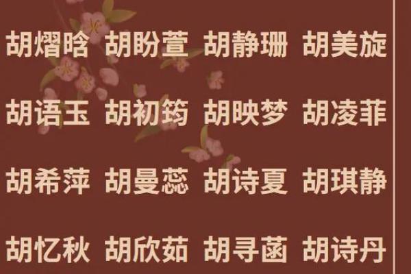 胡姓女孩气质高雅名字大全(胡姓女孩气质高雅名字大全两个字)