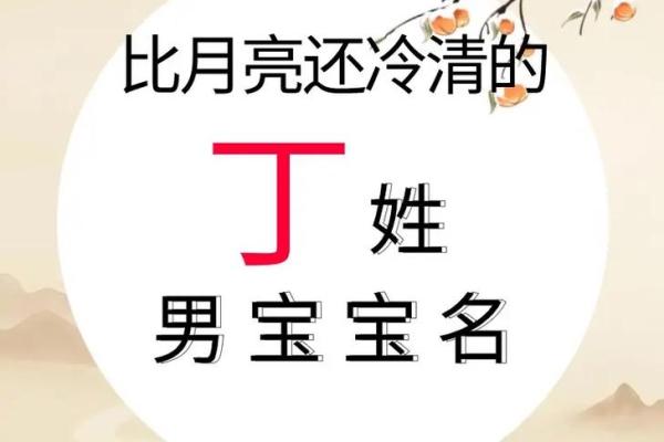 丁姓女孩取名字大全(姓丁女孩名字取什么好)