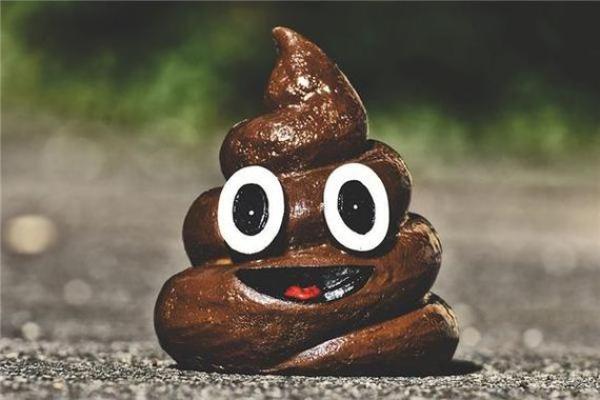 梦到屎是什么意思(梦到屎是什么意思周公解梦梦到波被子边都是屎)
