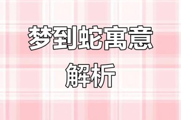 梦见被毒蛇咬了是什么预兆(梦见被毒蛇咬了是什么预兆并打死毒蛇) 梦见被毒蛇咬了是什么预兆(梦见被毒蛇咬了是什么预兆并打死毒蛇)