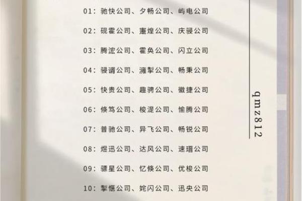 好听的监控公司名字(监控公司名字大全) 好听的监控公司名字(监控公司名字大全)