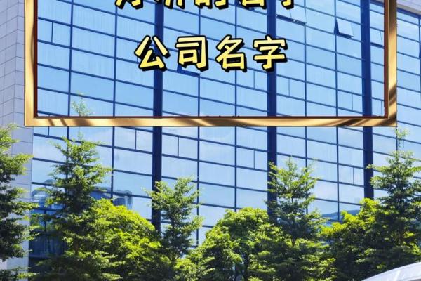 好听的监控公司名字(监控公司名字大全) 好听的监控公司名字(监控公司名字大全)