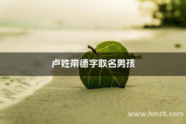 德起公司名字(德字取公司名字)