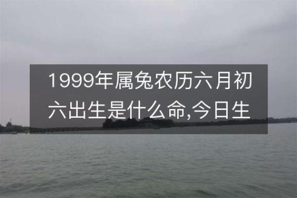 99属兔女结婚吉日