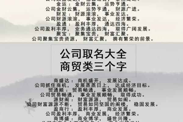贸易公司起名字大全(贸易公司起名字大全免费取名)
