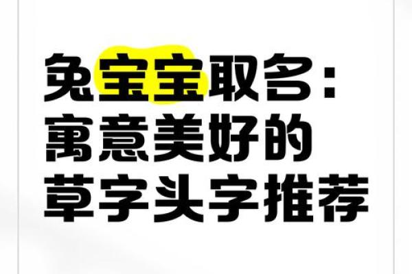 女孩草字头吉利的名字属兔(属兔女生草字头名字)
