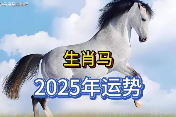 2025年生肖马适合理发的好日子推荐(属马适合剪什么头发)
