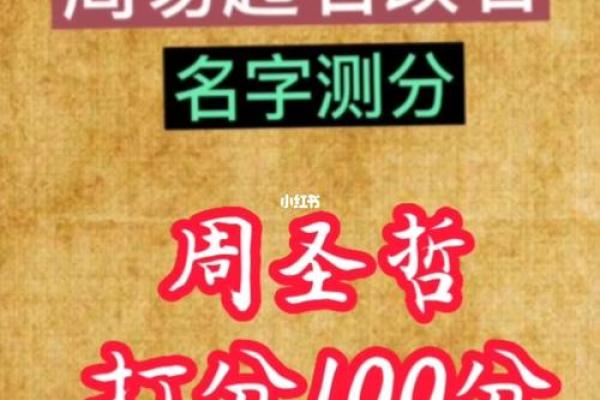 姓名测分打分免费(姓名免费测名打分)