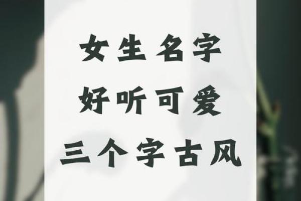 姓林的女孩名字好听的三个字(姓林的女孩名字唯美的,三个字)