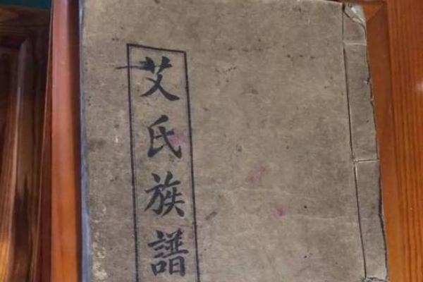 艾姓女孩取名字大全(姓艾的可爱女孩名字)