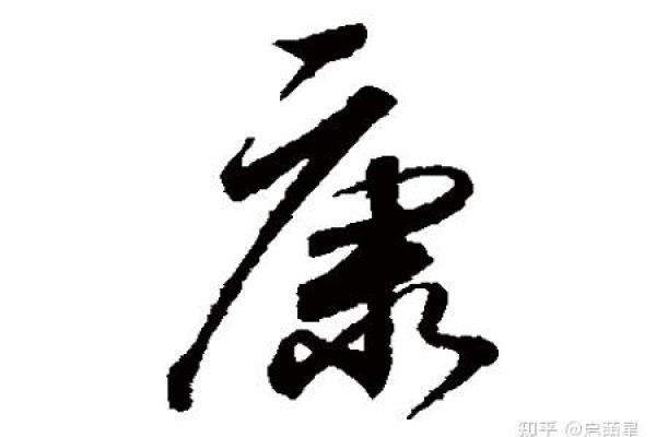 康起名字大全男孩(康字取名男孩)