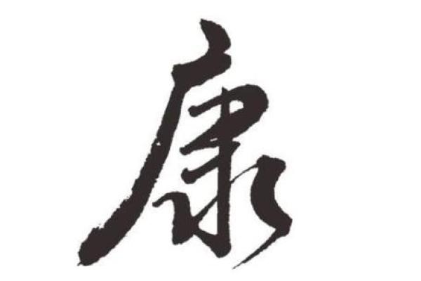 康起名字大全男孩(康字取名男孩)