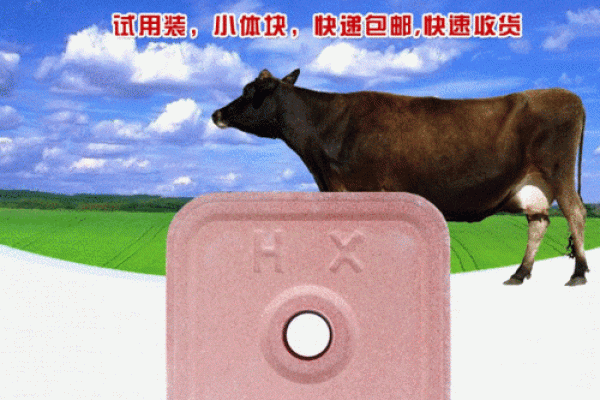 牛羊公司起名(羊业公司名字)