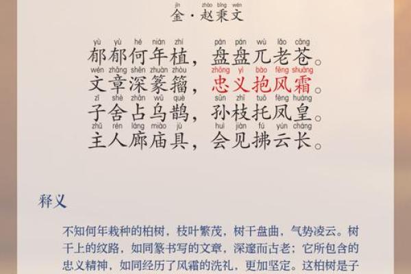 柏姓女孩取名三个字(柏姓女孩起名)