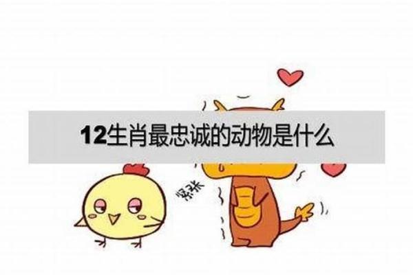 梦见死去的妈妈(梦见死去的妈妈回家了,还和她对话好吗)