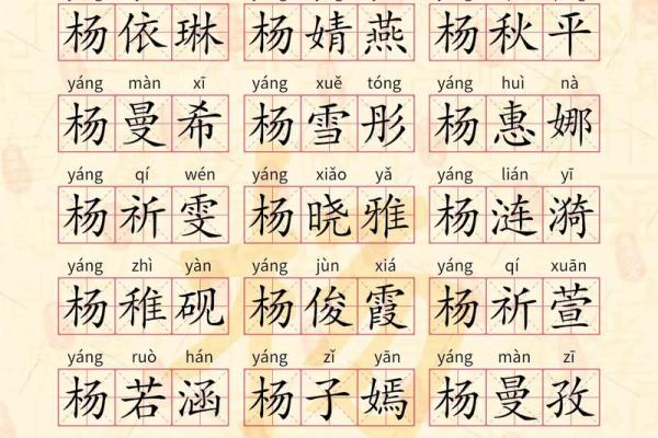 起名杨姓男孩名字大全(起名杨姓男孩名字大全四个字)