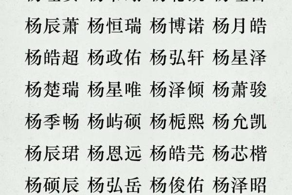 起名杨姓男孩名字大全(起名杨姓男孩名字大全四个字)