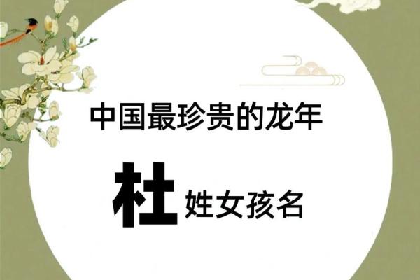 杜氏男孩取名字大全(杜姓氏男孩好听的名字)