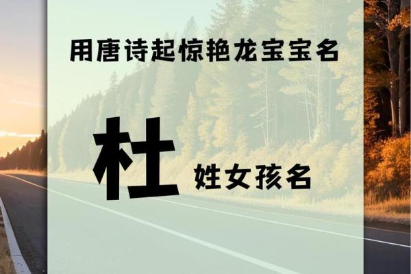 杜氏男孩取名字大全(杜姓氏男孩好听的名字)