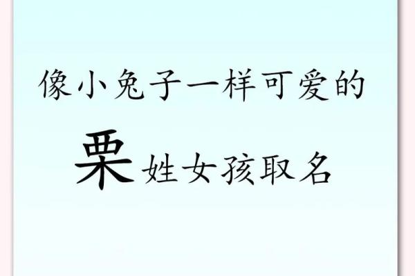2023年女孩起名字大全免费(2821年女孩名字)