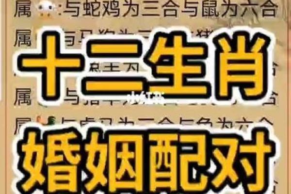 免费姓名配对姻缘测试打分(免费姓名配对姻缘免费测试)