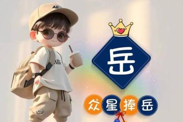 岳姓男孩起名高端大气(岳姓男孩起名简单好听)