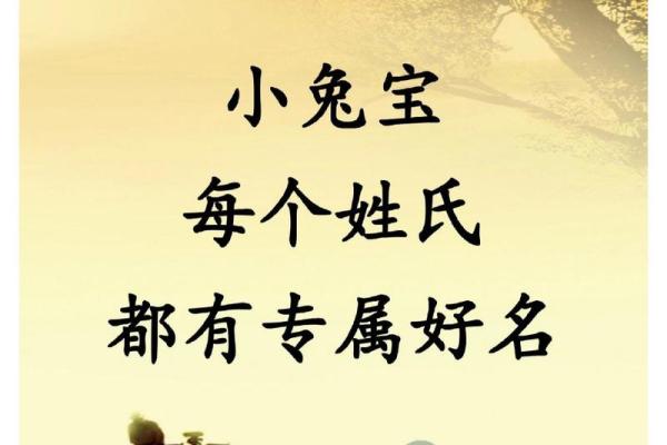 女孩子带草字头取名字大全(女孩带草字头的名字)