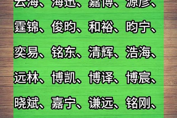 男孩的起名字大全(男孩起名字大全免费2023年属兔)