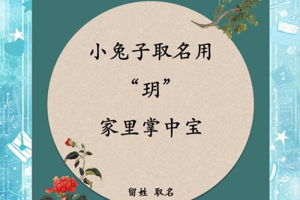 带兔的公司名称简单大气(与兔有关的公司名字) 带兔的公司名称简单大气(与兔有关的公司名字)