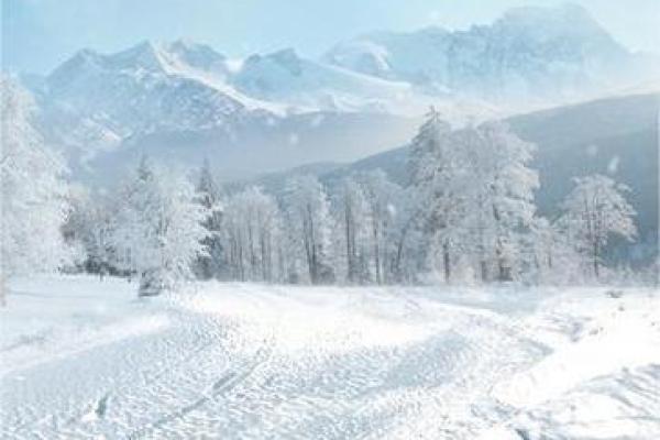 梦见下雪(梦见下雪了是什么征兆 周公解梦) 梦见下雪(梦见下雪了是什么征兆 周公解梦)