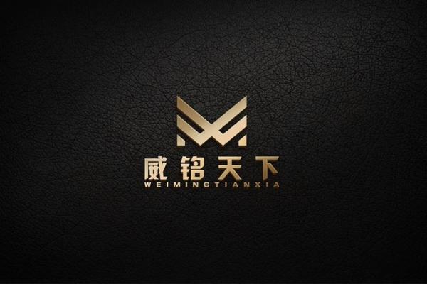 带有威字的三个字的公司名字(带有威字的三个字的公司名字叫什么)