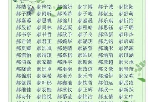 免费取名字大全免费男孩(取名字大全免费男孩三个字) 免费取名字大全免费男孩(取名字大全免费男孩三个字)